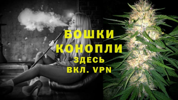 ешки Горняк