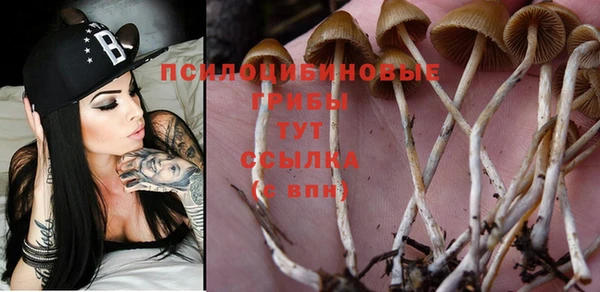 соль ск Верхний Тагил