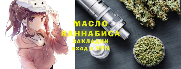гашик Верея